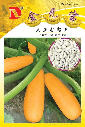 供应金元宝--西葫芦种子