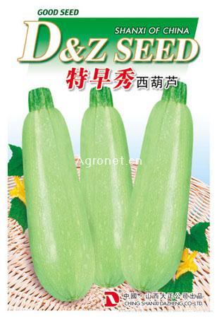 供应特早秀—西葫芦种子