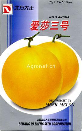 供应爱莎三号—甜瓜种子