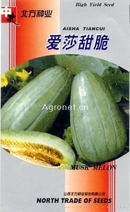 供应爱莎甜脆—甜瓜种子