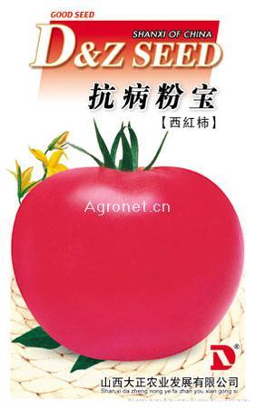 供应抗病粉宝—番茄种子