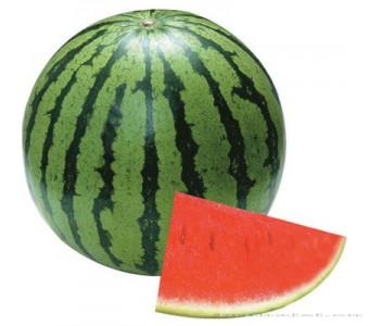 好乐之星二号 