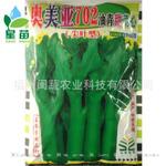 批发供应 广东菜心种子 奥美亚702尖叶型油青甜菜心蔬菜种子