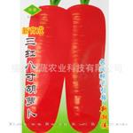 批发供应蔬菜种子三红八寸胡萝卜种子 阳台种植 家庭蔬菜种子