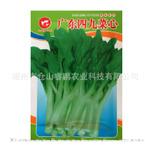 批发供应蔬菜种子广东四九菜心 阳台种植 家庭蔬菜种子