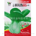 批发蔬菜种子抗热605上海青种子小油菜种子 家庭阳台蔬菜种子