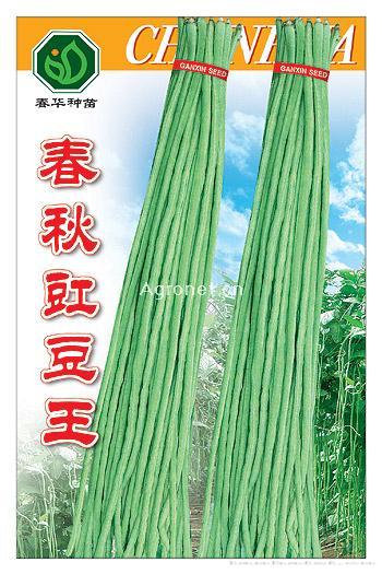  春秋豇豆王——豇豆种子 