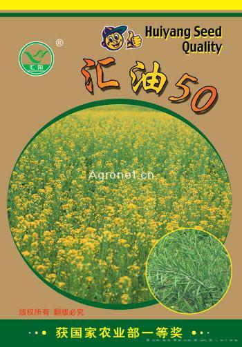  汇油50——油菜种子 