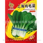 批发蔬菜种子上海青种子鸡毛菜种子小油菜种子 家庭阳台蔬菜种子