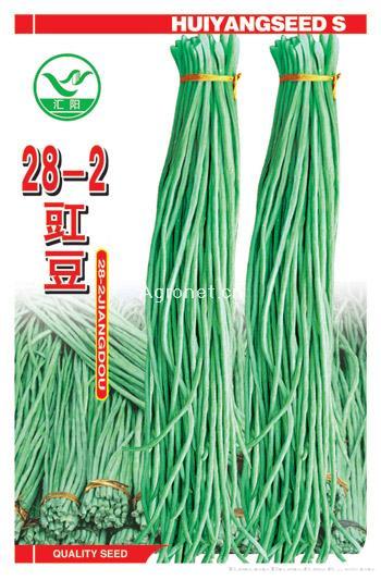 28-2豇豆——豇豆种子 