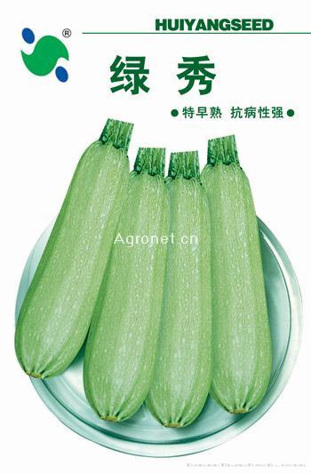  绿秀西葫芦——甜瓜种子 
