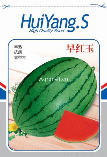 早红玉——甜瓜种子 