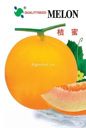  桔蜜——甜瓜种子