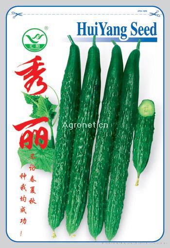 秀丽——甜瓜种子 