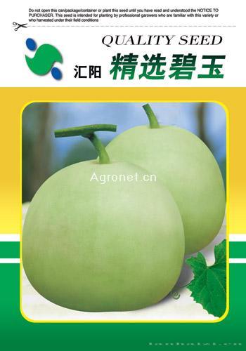  精选碧玉——甜瓜种子 