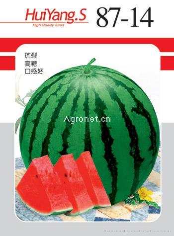  87-14——甜瓜种子 
