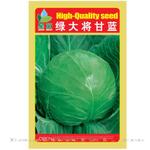 批发蔬菜种子星苗绿大将甘蓝种子卷心菜种子包菜种子进口杂交品种