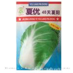 批发供应蔬菜种子金铭夏优48天 夏阳白菜种子 高产耐热 热卖10克