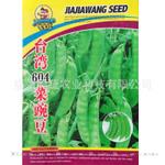 批发蔬菜种子604软荚豌豆种子荷兰豆种子秋季菜豌豆家庭阳台蔬菜