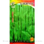 批发蔬菜种子高产四季豆种子科瑞德长龙架豆种子中早熟无筋春秋播
