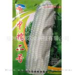 批发绿桥中糯二号鲜食甜糯玉米种子基地专供 有机蔬菜种子公司