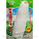 批发供应中桥白甜糯三号杂交玉米种子 高产抗病 专业种植新种上市