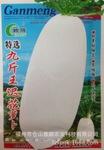 大量供应蔬菜种子特选九斤王迟花白萝卜种子 家庭阳台蔬菜种子