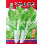 批发蔬菜种子早熟白菜苔种子家庭阳台蔬菜种子特色蔬菜种子夏秋播