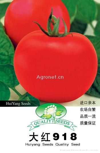  大红918——番茄种子 