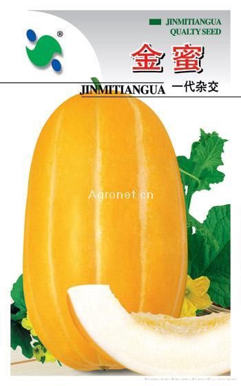  金蜜——甜瓜种子 