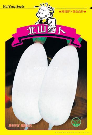  北山萝卜——萝卜种子 