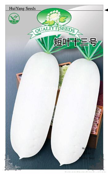  短叶十三号——萝卜种子