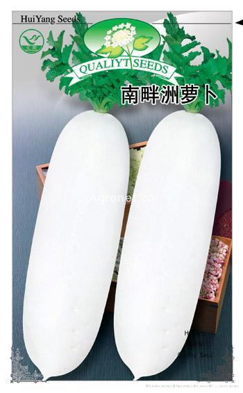  南畔洲萝卜——萝卜种子 