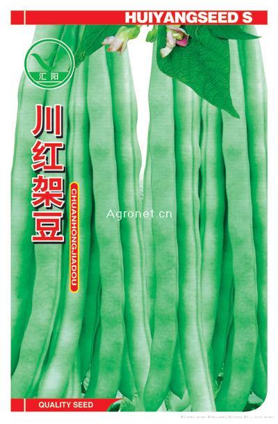 川红架豆——架豆种子 