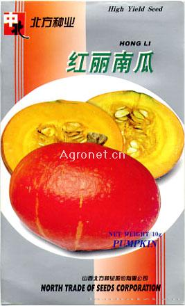 供应红丽南瓜—南瓜种子