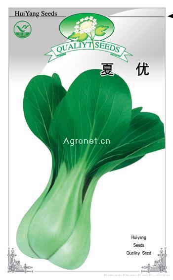  夏优——白菜种子 