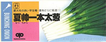 夏帅一本太葱——大葱种子