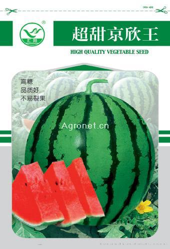 超甜京欣王——甜瓜种子 
