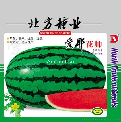 供应爱耶花帅—西瓜种子