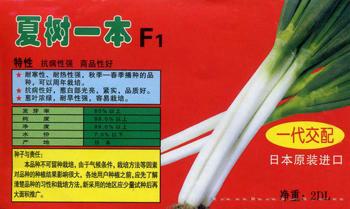 夏树一本F1——大葱种子