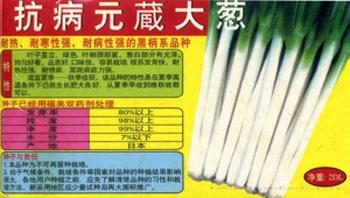 抗病元藏大葱——大葱种子