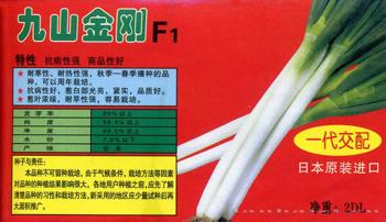 九山金刚F1——大葱种子