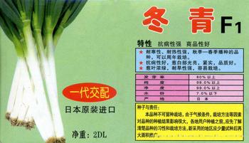 冬青F1——大葱种子