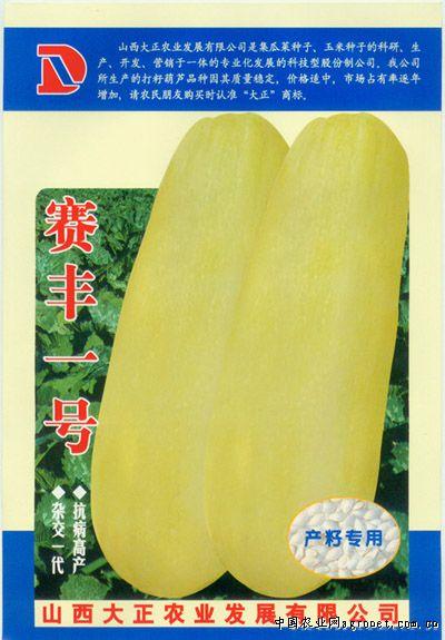 供应赛丰一号—西葫芦种子