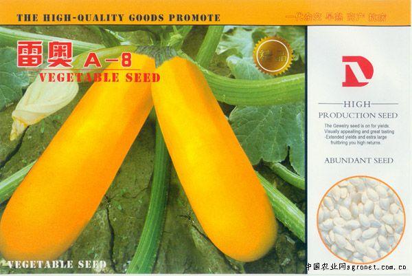 供应雷奥A--8—西葫芦种子