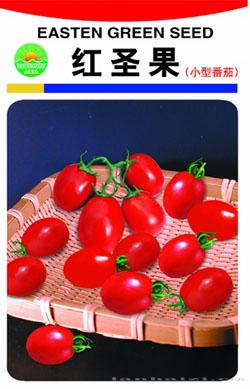红圣果（小型番茄）