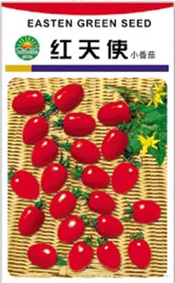 红天使