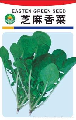 芝麻香菜