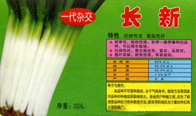 长新——大葱种子