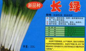 长绿——大葱种子